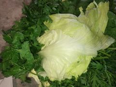 圆生菜-蝎菜杨·牛肉面 羊蝎子火锅(光熙门北里店)