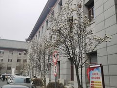 -中国中医科学院西苑医院(本部)