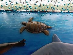 -锦艺城海洋馆