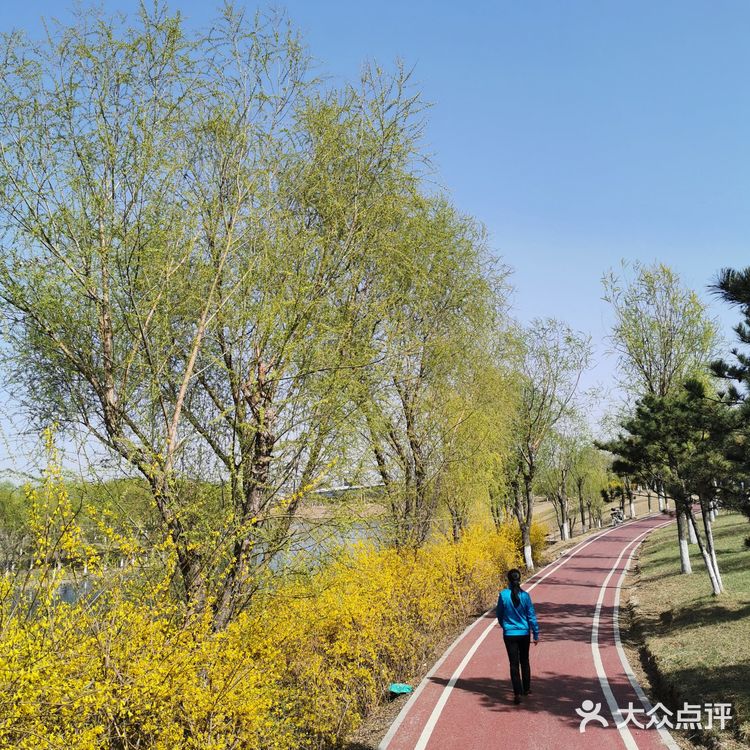 《城市公园》