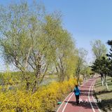 《城市公园》