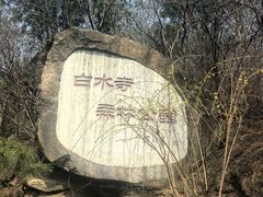 -白水寺森林公园