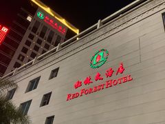 -红林大酒店RFcafe自助餐厅