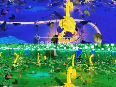 -华谊兄弟（长沙）电影小镇