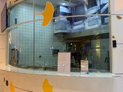 -阮大兴糕团(滨江宝龙店)