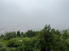 -府君山公园