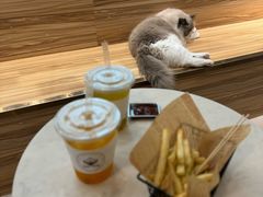 -Heymao猫咖.咖啡厅(东门店)