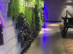 -威尔仕健身·游泳(KING88店)