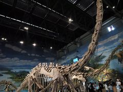 -自贡恐龙博物馆