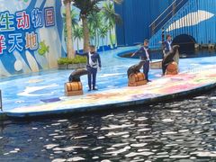 -深圳野生动物园