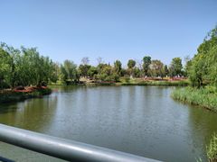 -九科绿洲