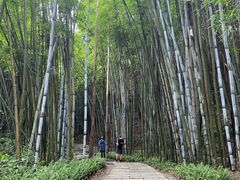 -黄埔油麻山森林公园