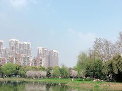 -堤角公园