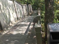 -上海佘山国家森林公园西佘山园