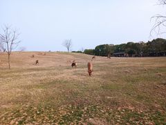 -良渚古城遗址公园
