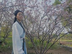 -王借岗森林公园
