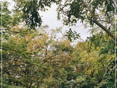 -金鸡山公园