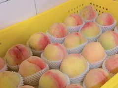 -老袁家蜜桃农场·阳山水蜜桃