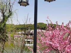 -苏州上方山国家森林公园