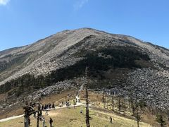 -朱雀国家森林公园