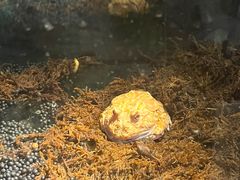 -绿色星球动物主题公园