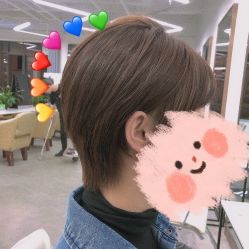 -蚂蚁造型沙龙