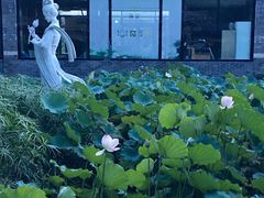 -珠海圆明新园