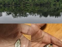 -重庆彩云湖湿地公园