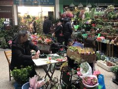 -本溪路花鸟市场(江浦路1709弄小区店)