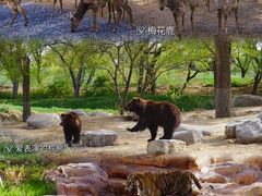 -北京野生动物园