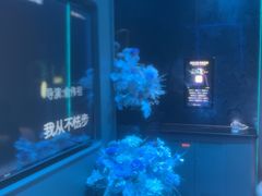 -方糖KTV-PLUS(世茂广场店)