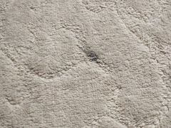 -北京奥北宝迪酒店