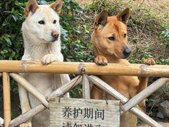 -龙华寺