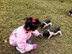 -前小桔亲子创意农场·草莓采摘·露营烧烤