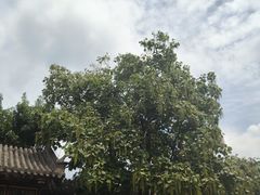 -张学良旧居陈列馆
