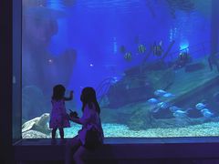 -福州罗源湾海洋世界旅游区