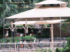 -Infica Coffee