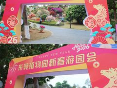-东莞植物园