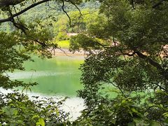 -桃花岭景区