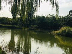 -大兴滨河森林公园