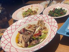 -撒拉花儿·新疆菜·清真(太阳宫店)