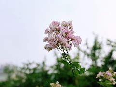 -南京国际青年文化中心