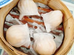 虾饺-捷信牛奶甜品世家(五道口店)