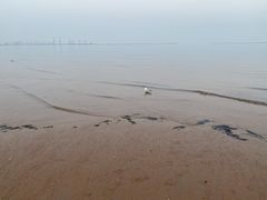 -金梦海湾浴场