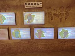 -青岛葡萄酒博物馆