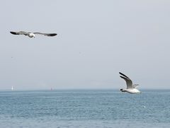 -大连海昌东方水城