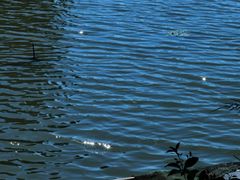 -东钱湖旅游度假区