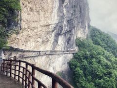 -鹿院坪生态旅游景区