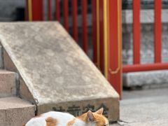 -八大处公园