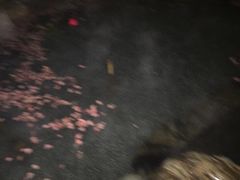 -厦门日月谷温泉渡假村